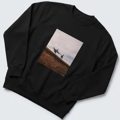 Photographic design of birds perched on a brick wall in natural colors — printed on a unisex sweatshirt