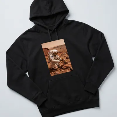Realistic illustration of a cat exploring Mars with an astronaut in orange and brown hues — printed on a unisex hoodie