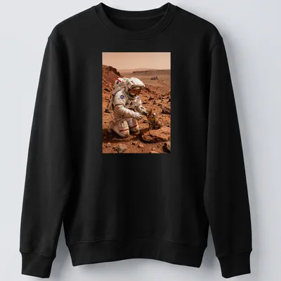 Realistic illustration of a cat exploring Mars with an astronaut in orange and brown hues — printed on a unisex sweatshirt