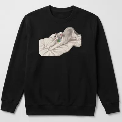 Realistic print of a cute cat stretching towards a colorful feather toy — printed on a unisex sweatshirt
