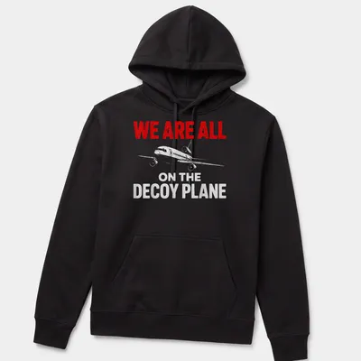 Bold distressed decoy plane t-shirt with humorous quote in red, white, and gray — printed on a unisex hoodie