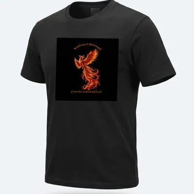 Vibrant Phoenix graphic with motivational text in fiery colors