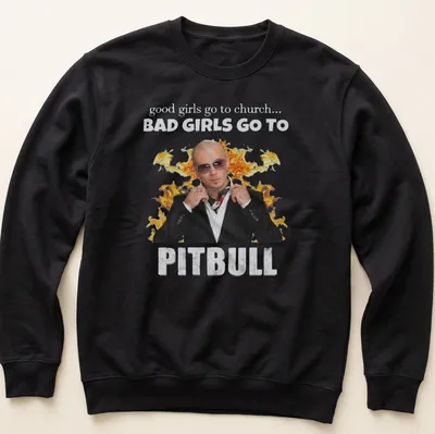 Bold typography t-shirt featuring Pitbull with a playful saying about good and bad girls. — printed on a unisex sweatshirt