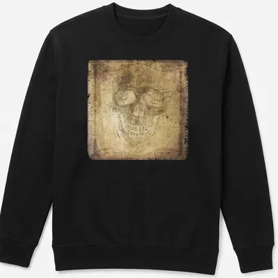 Faded gothic skull portrait t-shirt with ornate vignette in brown, beige, and black — printed on a unisex sweatshirt